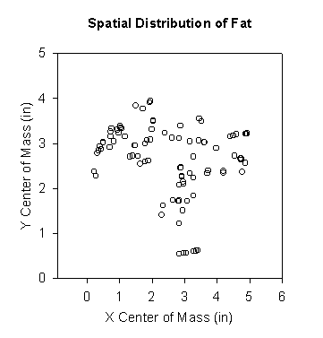 Spatial distribution of fat marbling